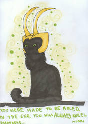 Loki cat