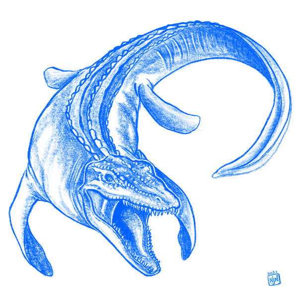 Mosasaurus Sketch by charligalcreations on DeviantArt