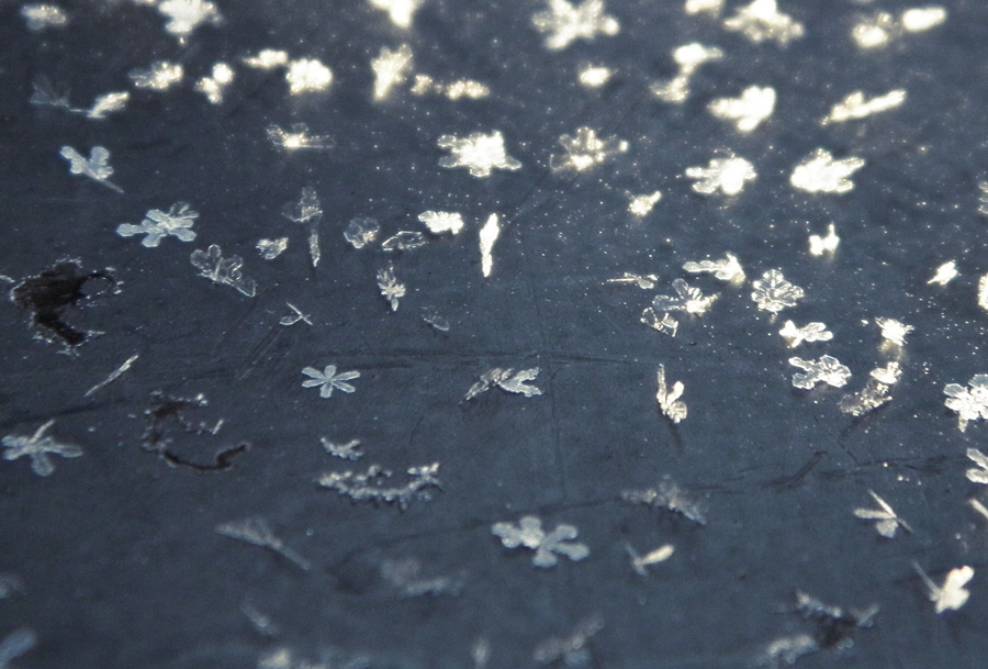 Snow Flakes