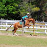 Breezy and I JUMPING