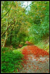 September by Forestina-Fotos