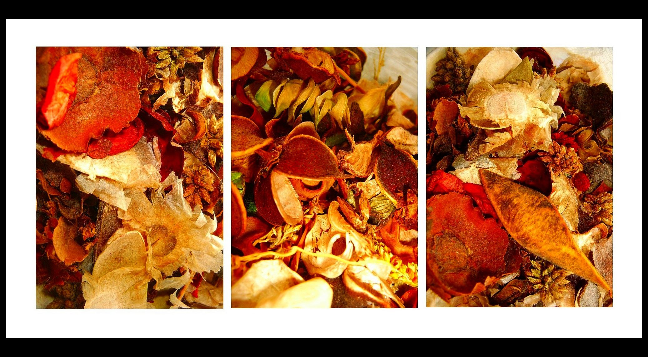 Pot Pourri