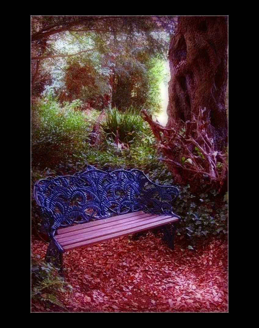 The Enchanted Bench