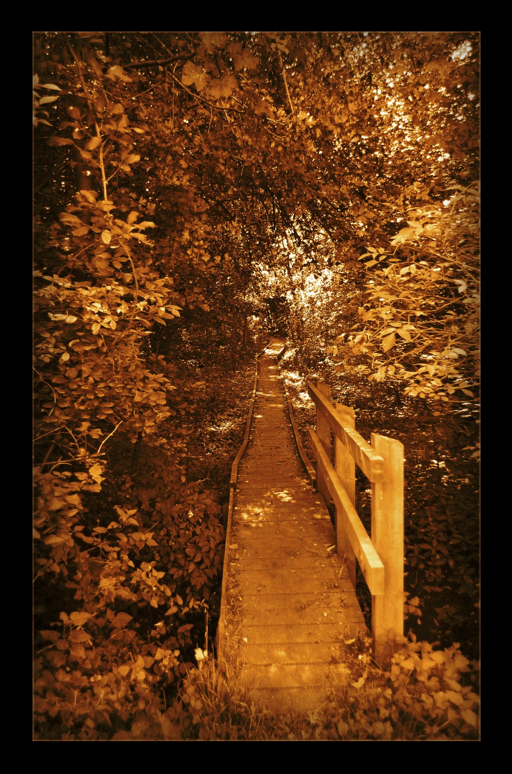 The Path To Autumn