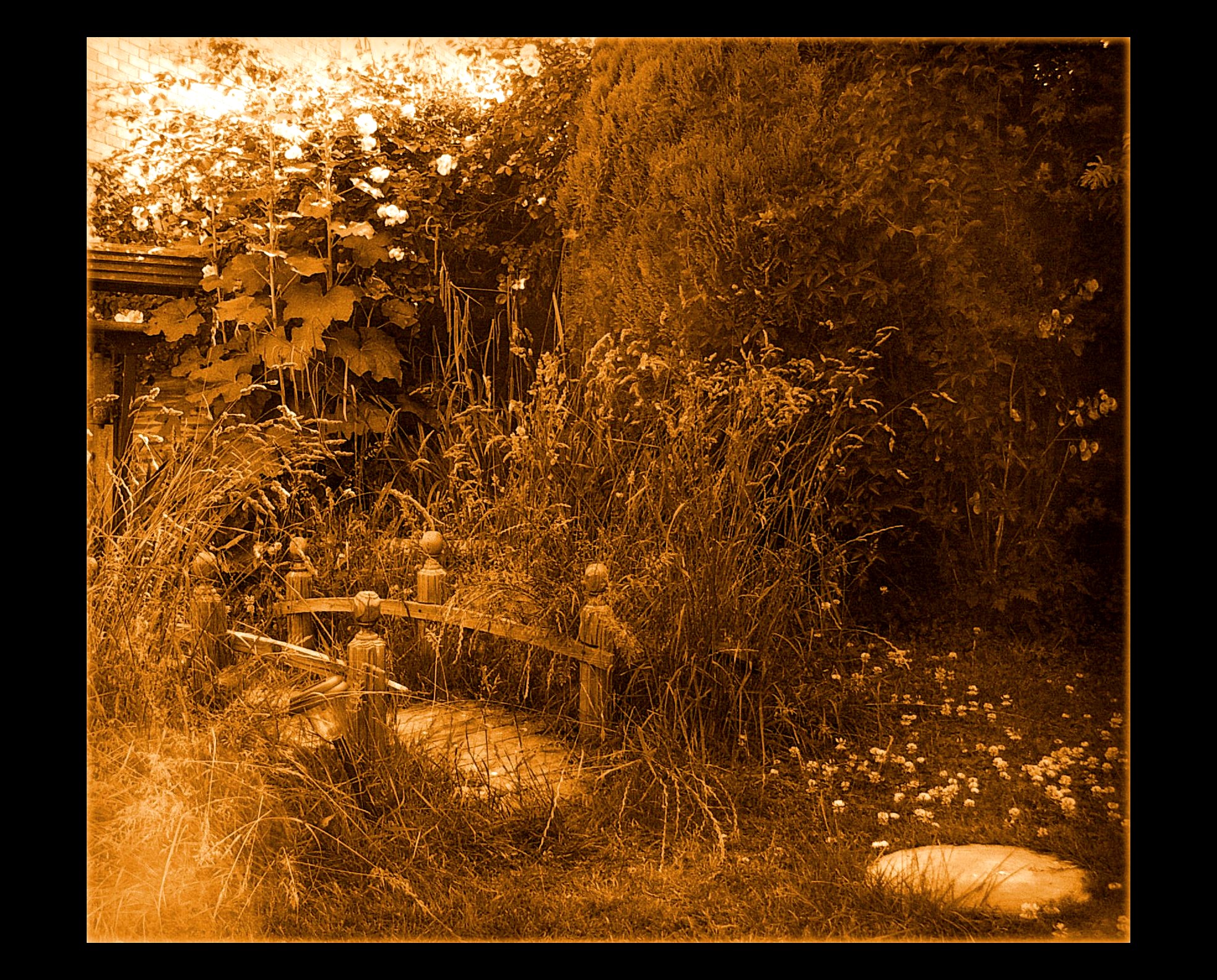 The Wild Garden sepia