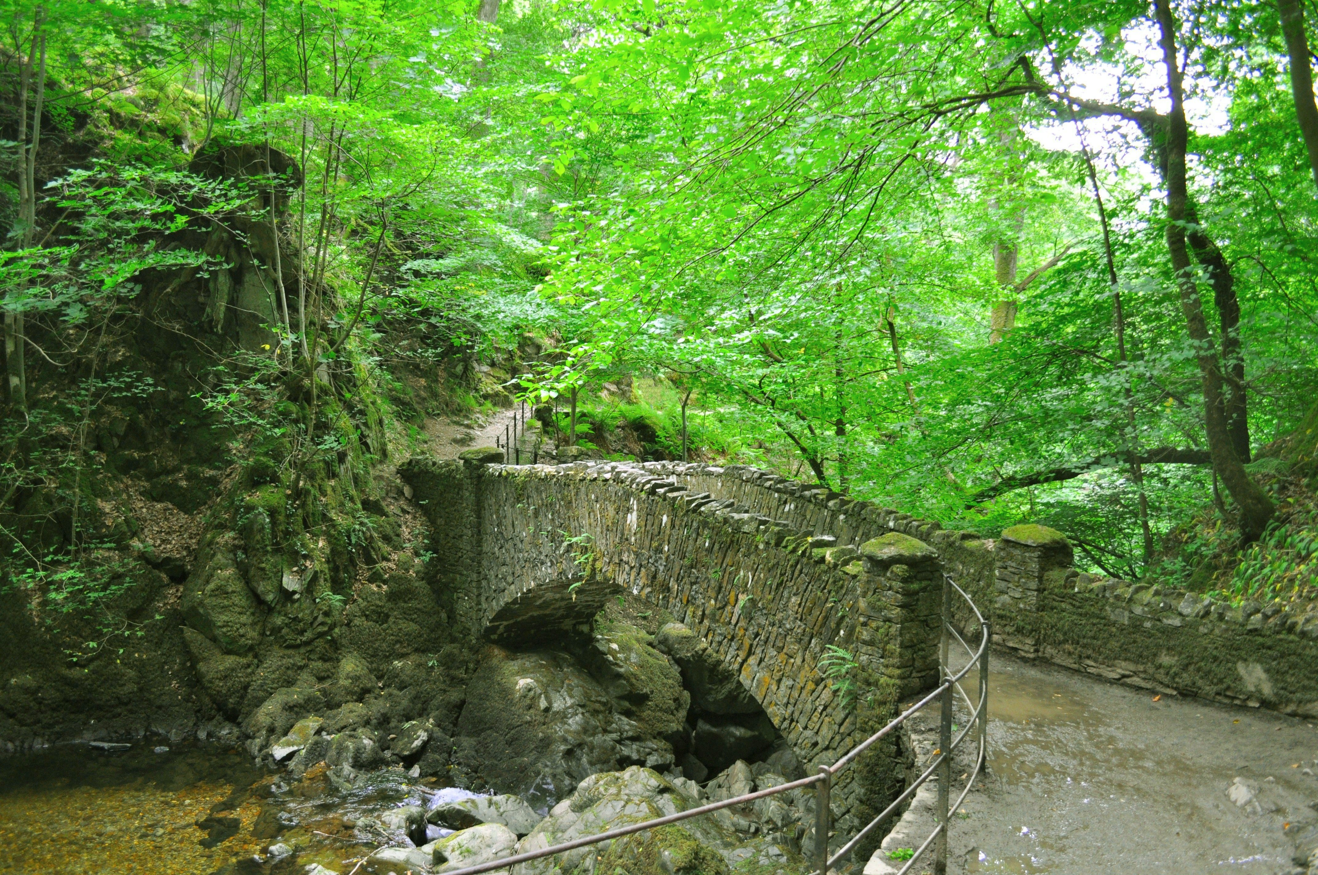 Bridge at Aira Force