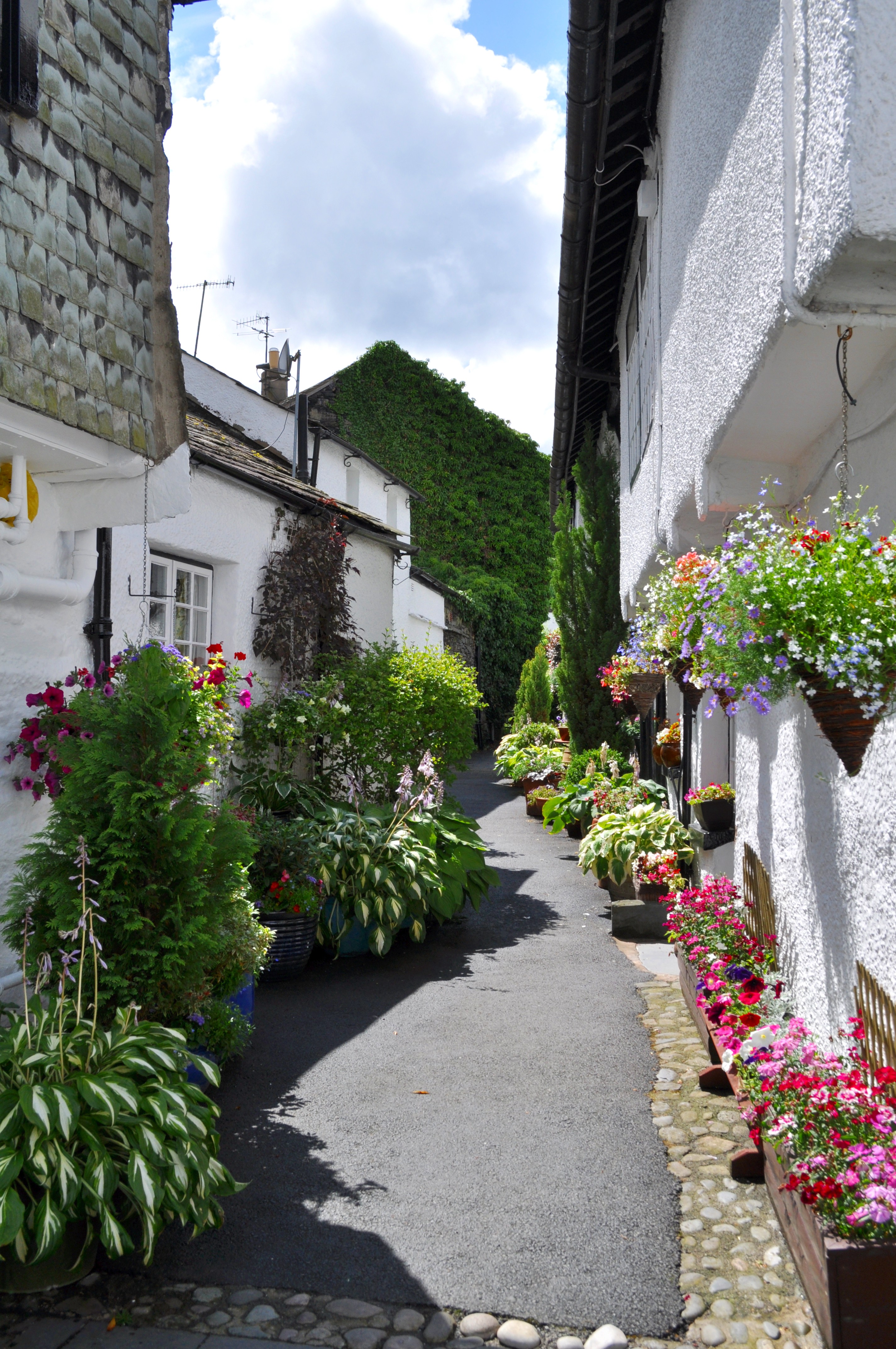 Hawkshead Flowers