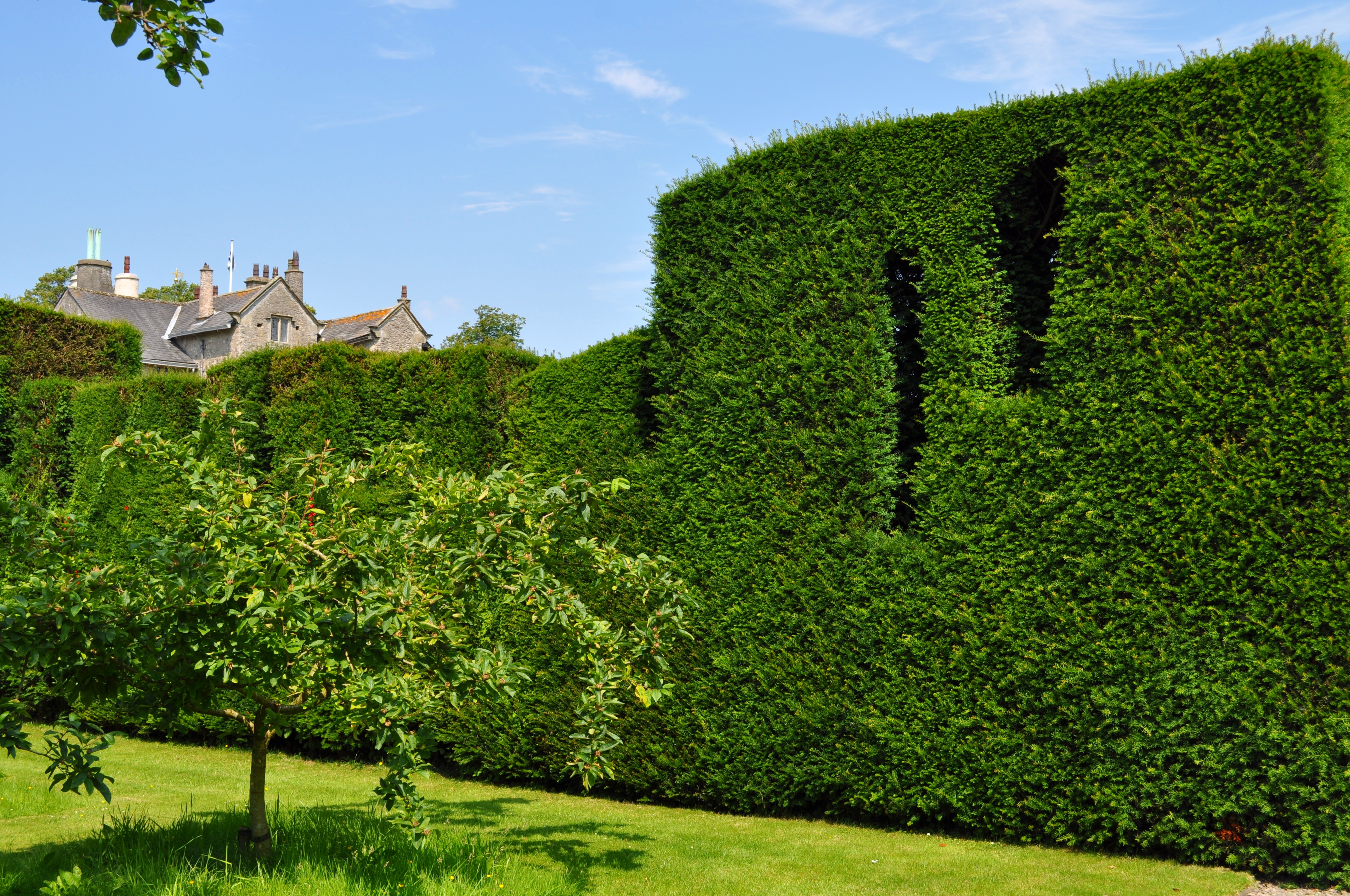 Levens Hall 99