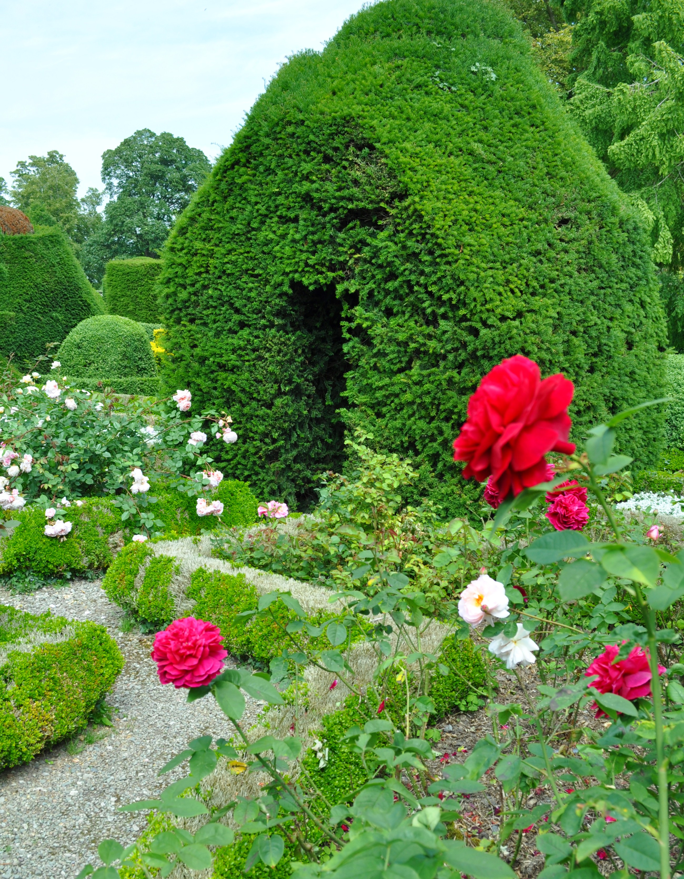 Levens Hall 100