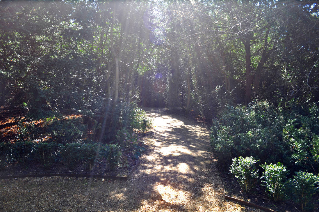 The Divine Path by Forestina-Fotos on DeviantArt