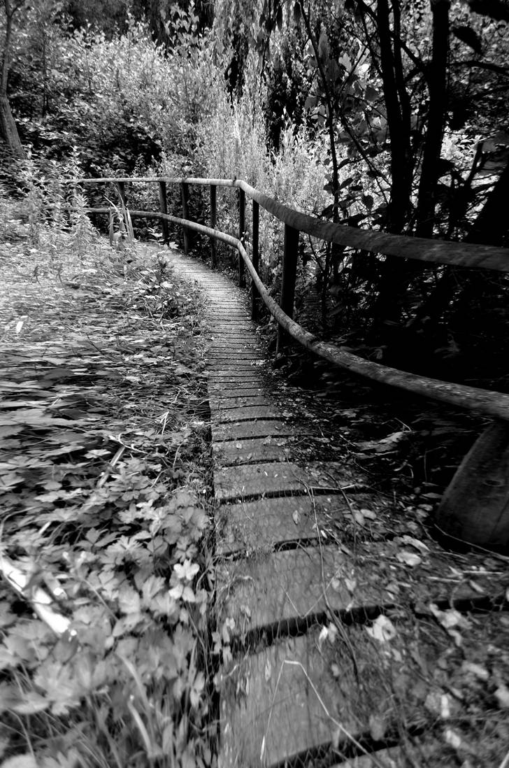Path Of Riddles by Forestina-Fotos on DeviantArt