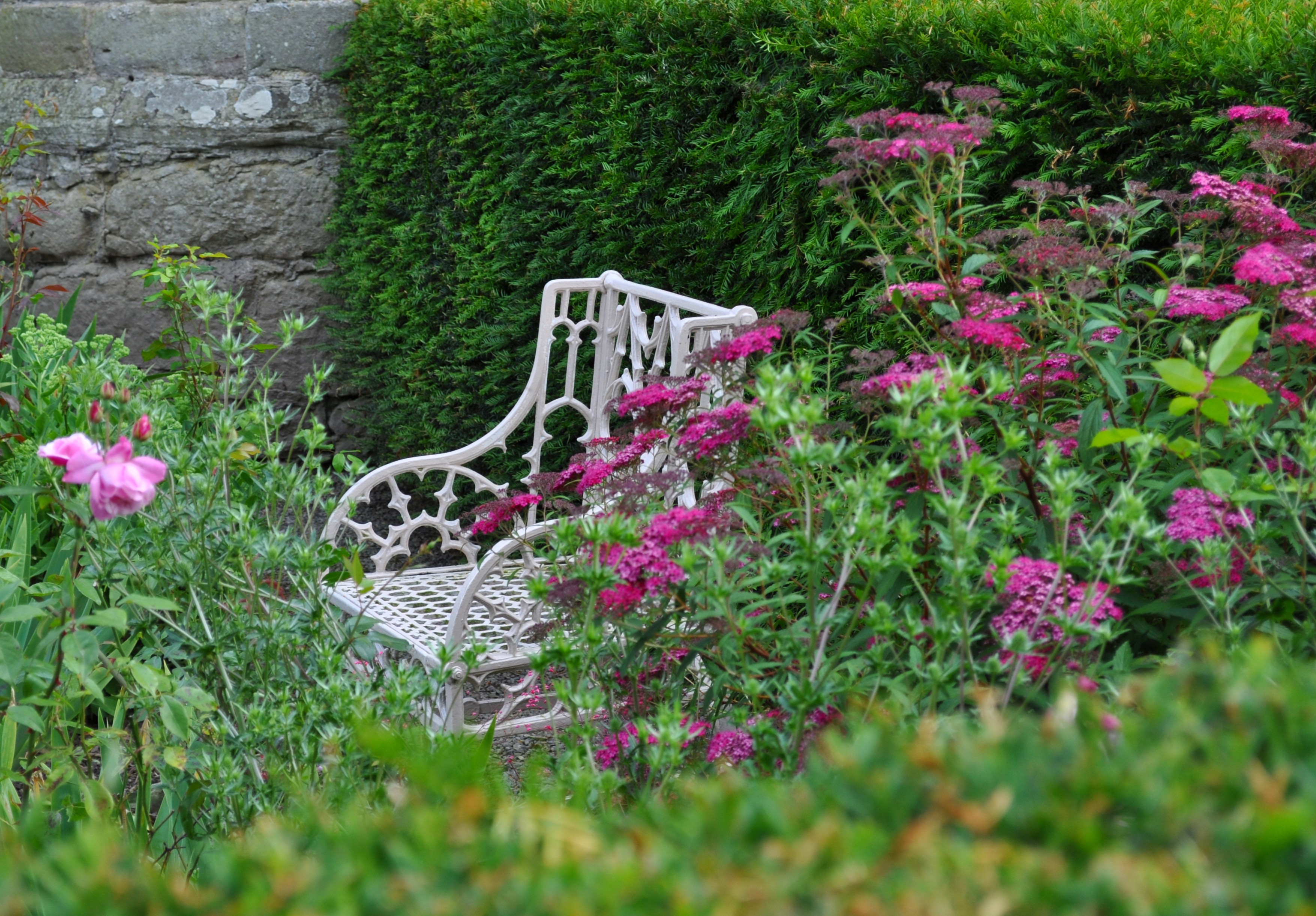 Summer Bench 2