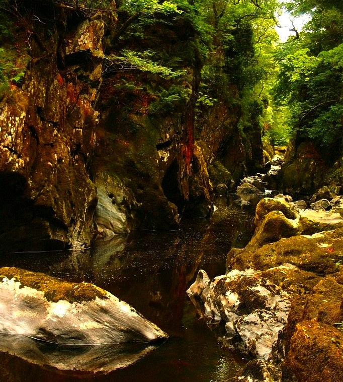 Inside The Faery Glen