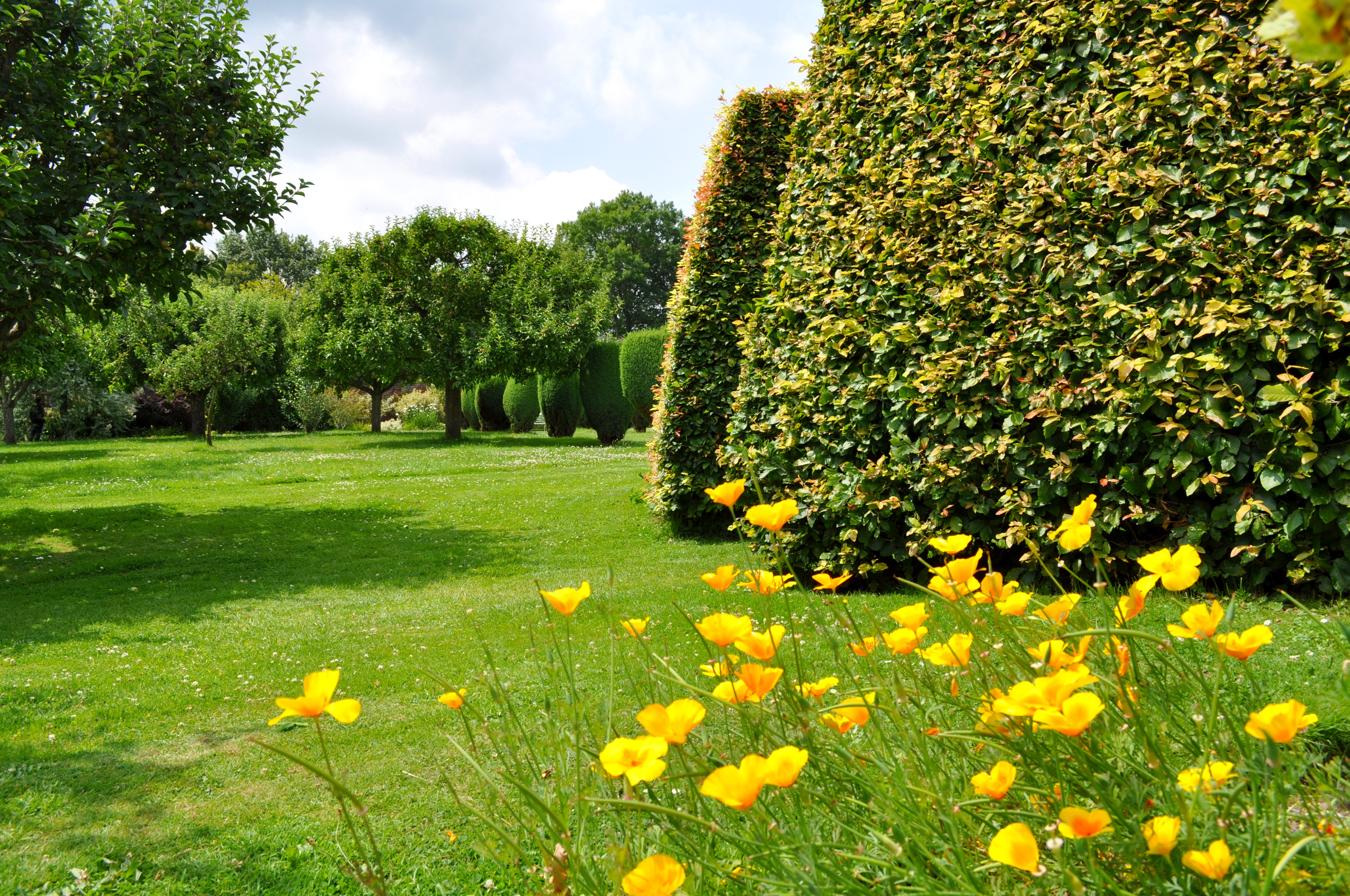 Croft Castle Gardens