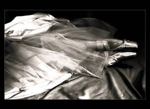 Dreams of Satin and Tulle