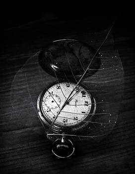 The Fragility Of Time