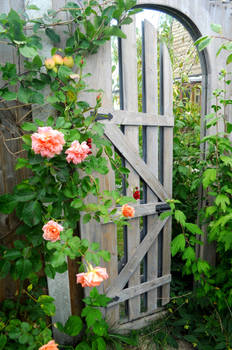 The Magic Mirror Gate