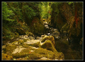 The Fairy Glen 3