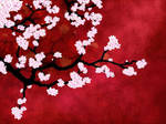 Cherry Blossoms by Niten11