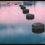 stepping stones