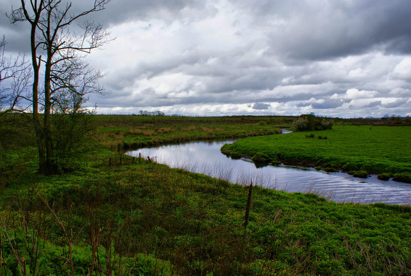 field and stream