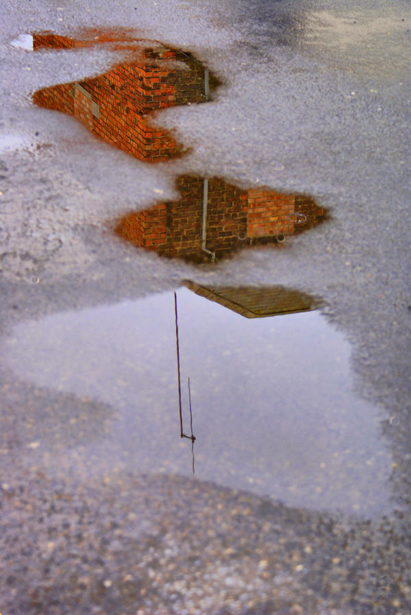 the secret life of puddles by ottomatt on DeviantArt