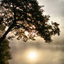 sunrise on Marlacoo Lake