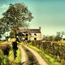 the long and winding road