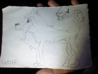 Another wolf