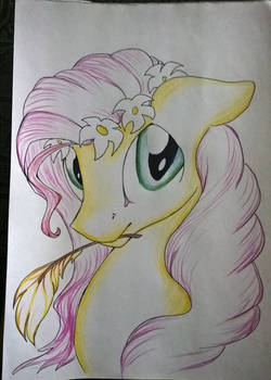 Fluttershy