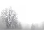 Beyond the Mist 2 by MadManTnT