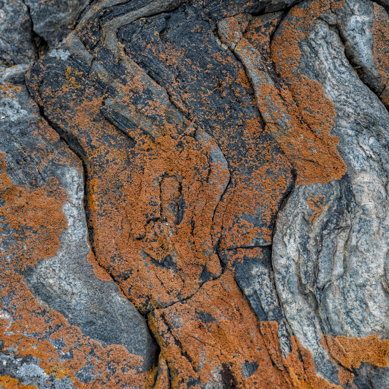 Naturally Rust The nature of rust by Igor-Demidov on DeviantArt
