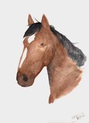 119. Horse
