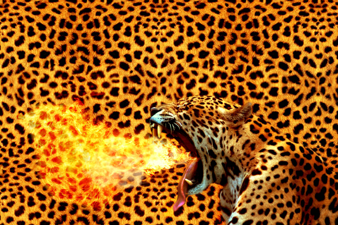 Fire Leaopard Fire Splitting Leopard by wizardsgfx on DeviantArt
