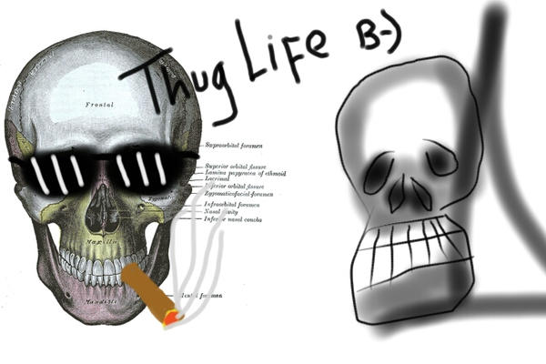 Thug Life Skull by KontolJebug on DeviantArt