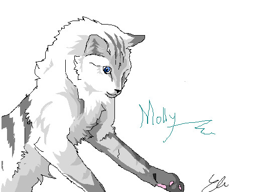 Molly paint