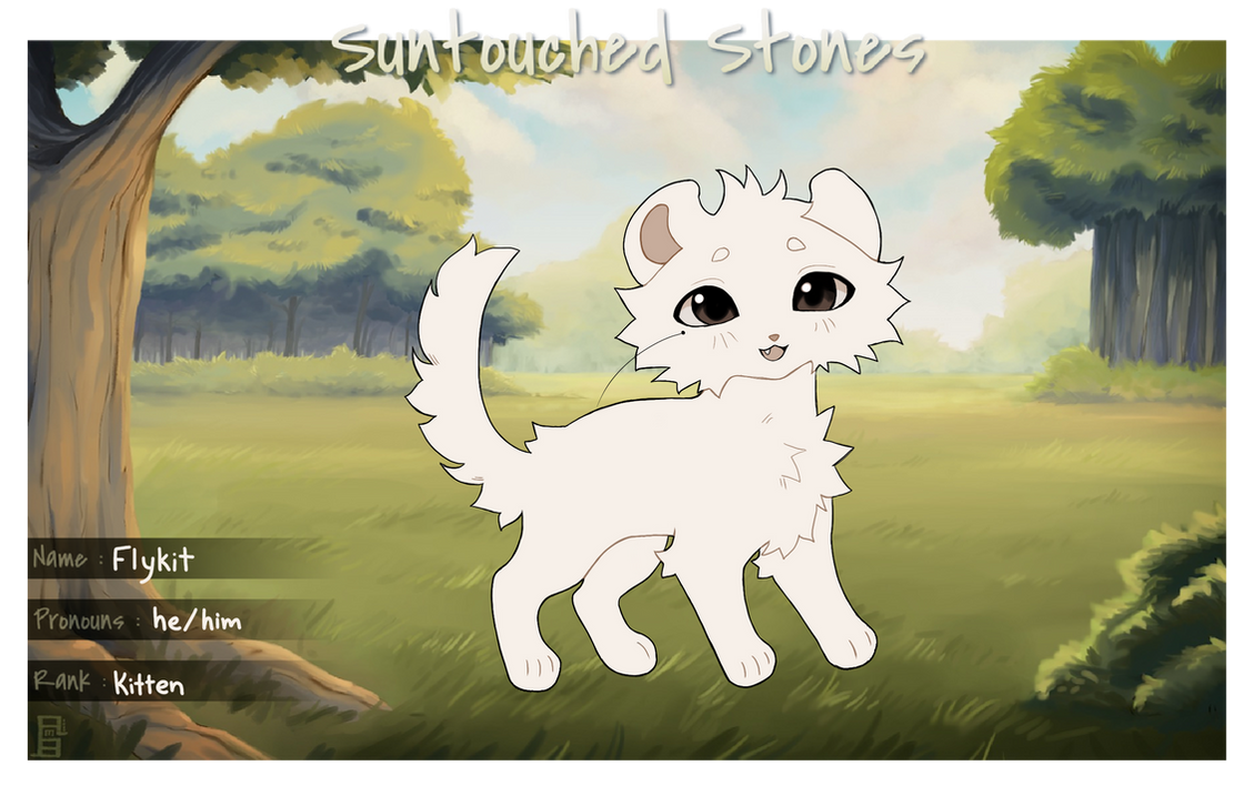 Flykit STS by daiyrise on DeviantArt