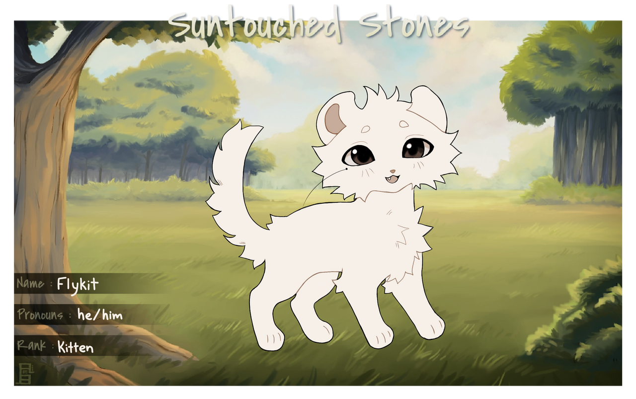 Flykit STS by daiyrise on DeviantArt