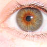 My Eye...