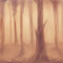 Hazy Forest