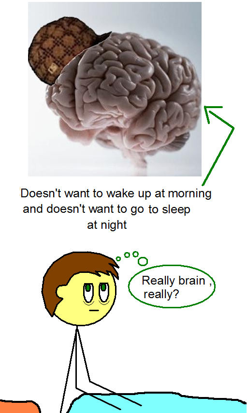 Image - 211156], Scumbag Brain