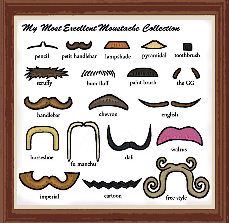 Assorted Mustaches Moustache Collection by Blank-mange on DeviantArt