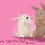 Hoppy Valentine's Day!