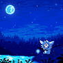 Still Night