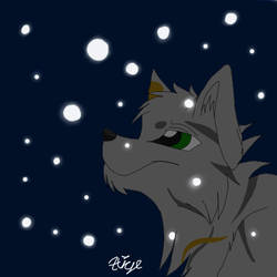 SS for FireIceWolf