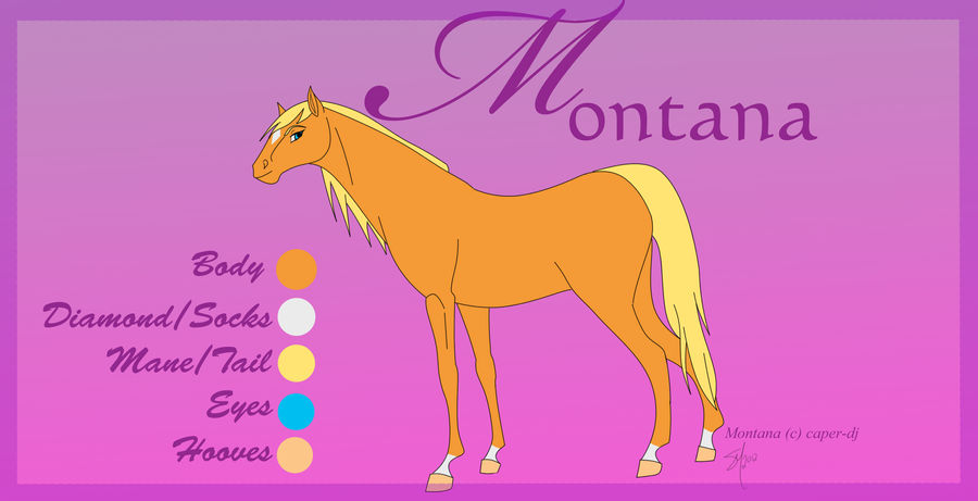 Montana Reference Sheet