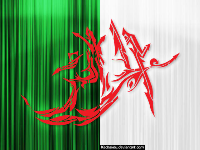 Algeria Flag Graff