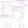 How to Pony: Part 1 - The Basics