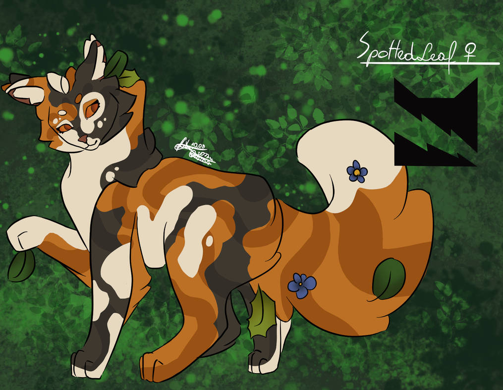 Spottedleaf Drawing Warrior Cats - SpottedLeaf by 2Oriona2 on DeviantArt