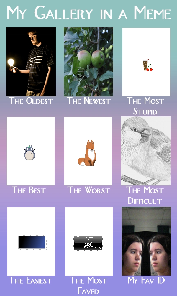 My Gallery meme